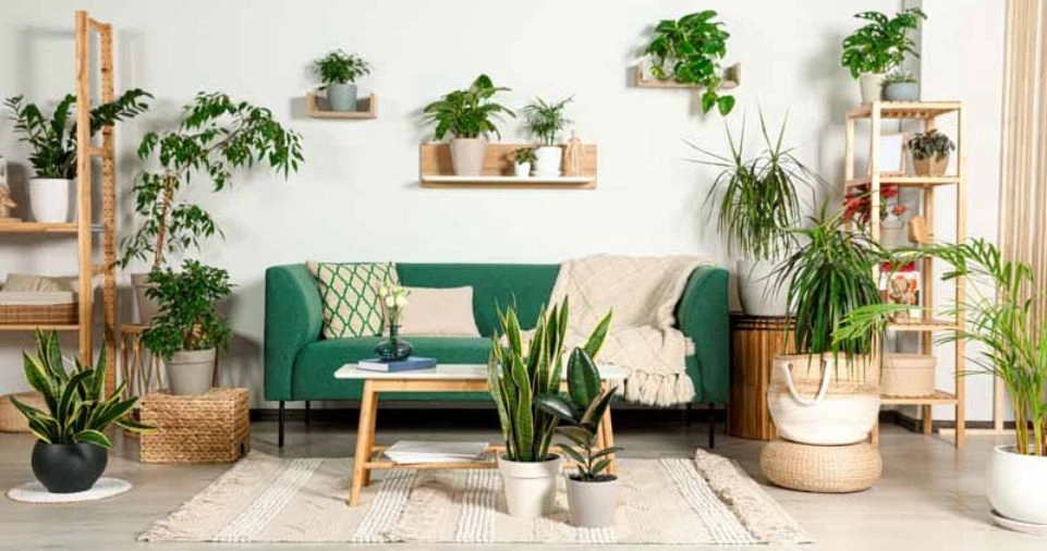 How to Decorate with Indoor Plants for a Fresh Look